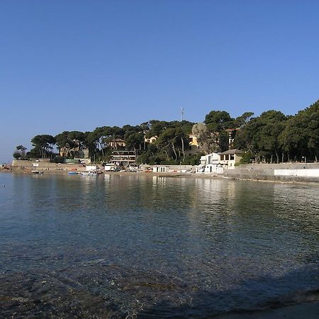 Villa Violetta Castiglioncello Kültér fotó