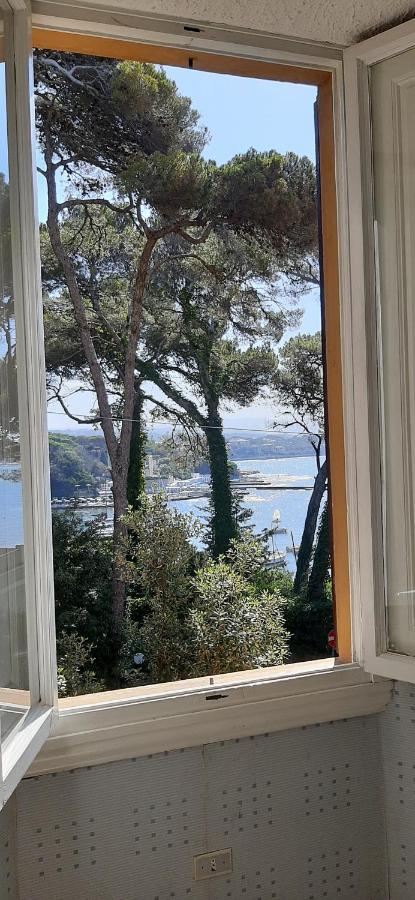 Villa Violetta Castiglioncello Kültér fotó