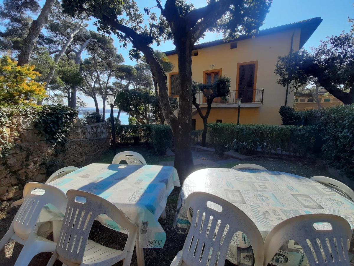 Villa Violetta Castiglioncello Kültér fotó