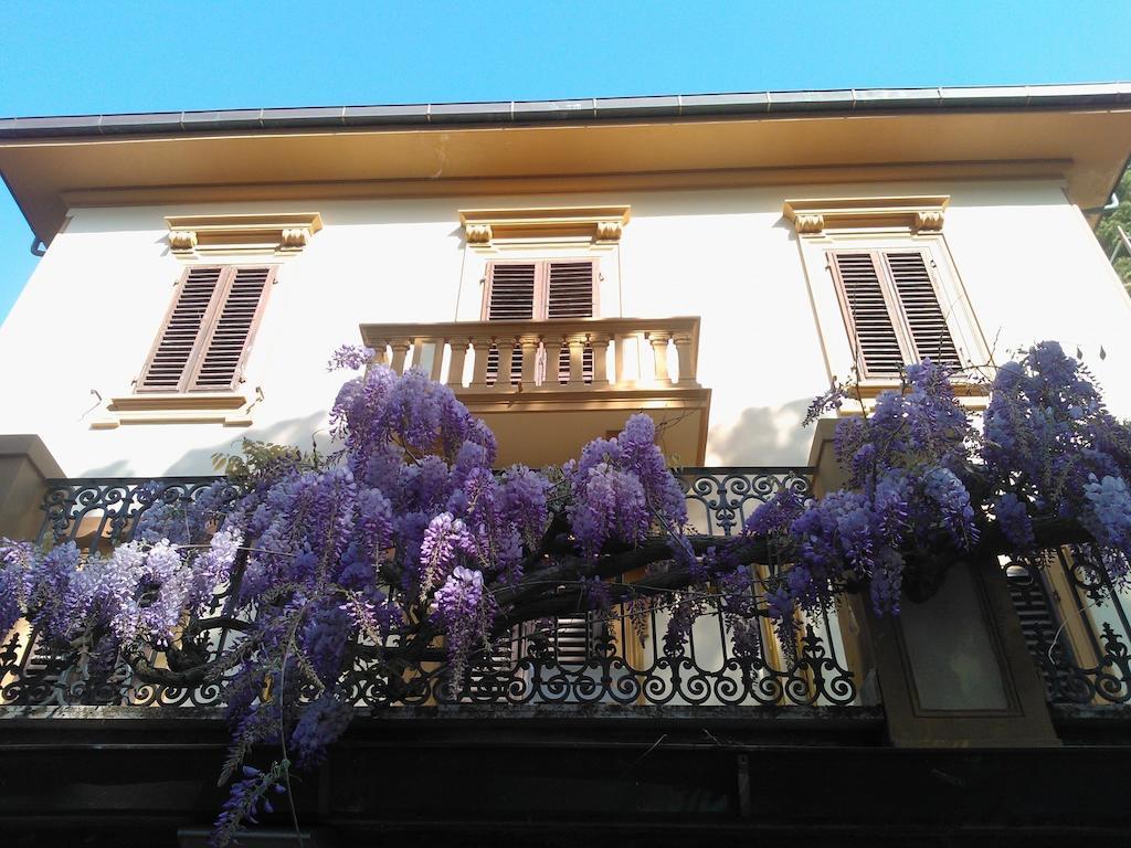 Villa Violetta Castiglioncello Kültér fotó
