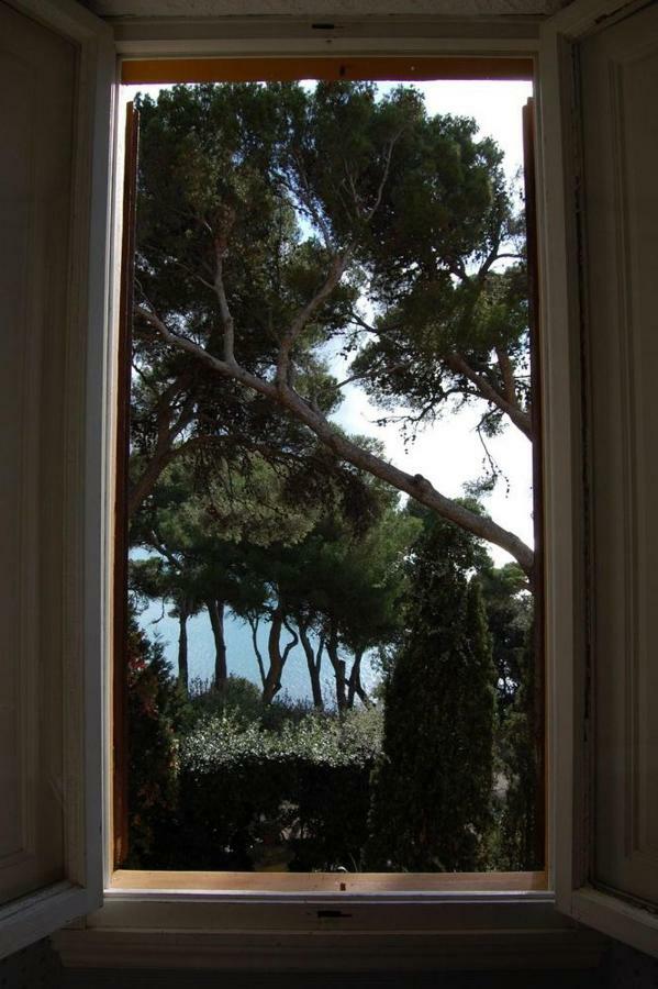 Villa Violetta Castiglioncello Kültér fotó